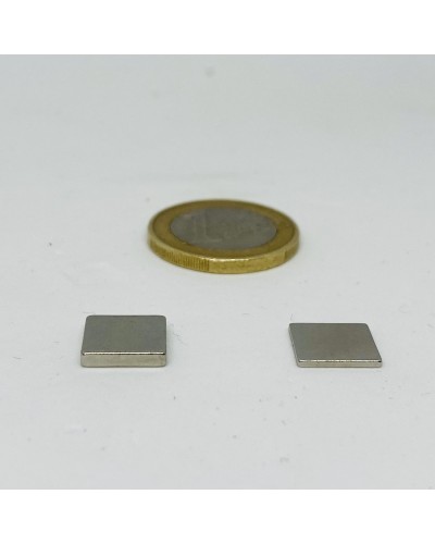 10 aimants 10x10x2 mm